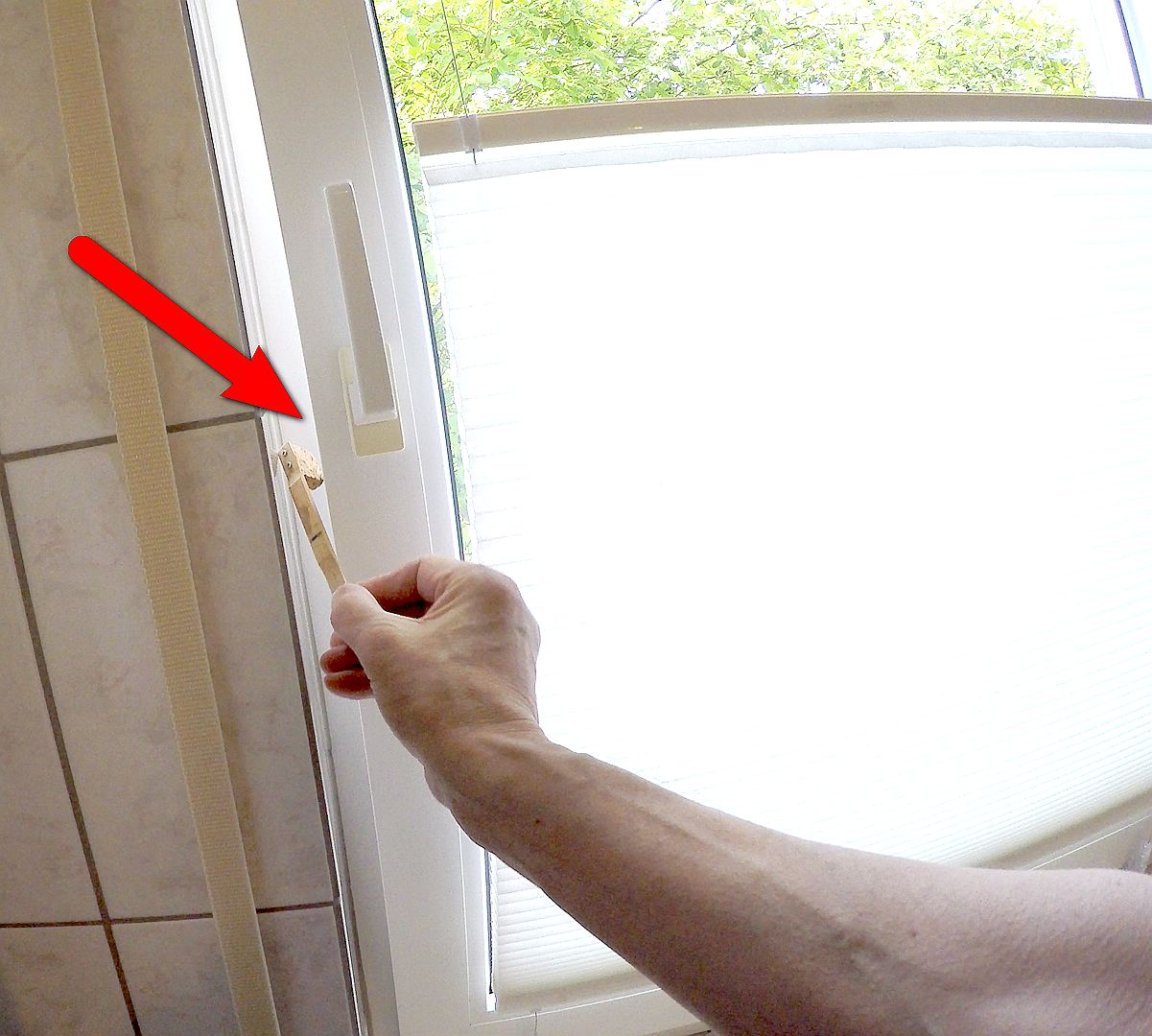 Bild  Winni, Antifensterknall! (03) wird geladen, bitte warten...