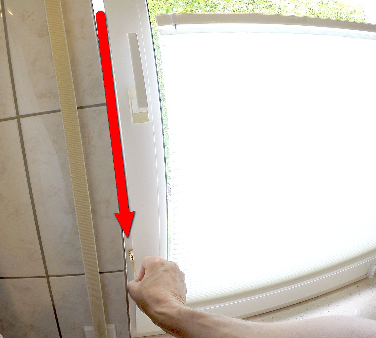 Bild  Winni, Antifensterknall! (05) wird geladen, bitte warten...