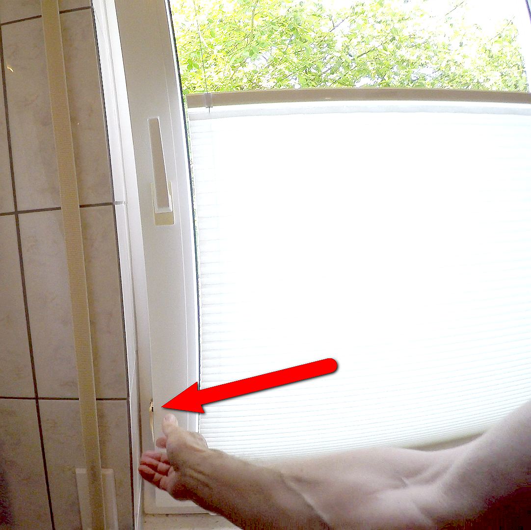 Bild  Winni, Antifensterknall! (07) wird geladen, bitte warten...