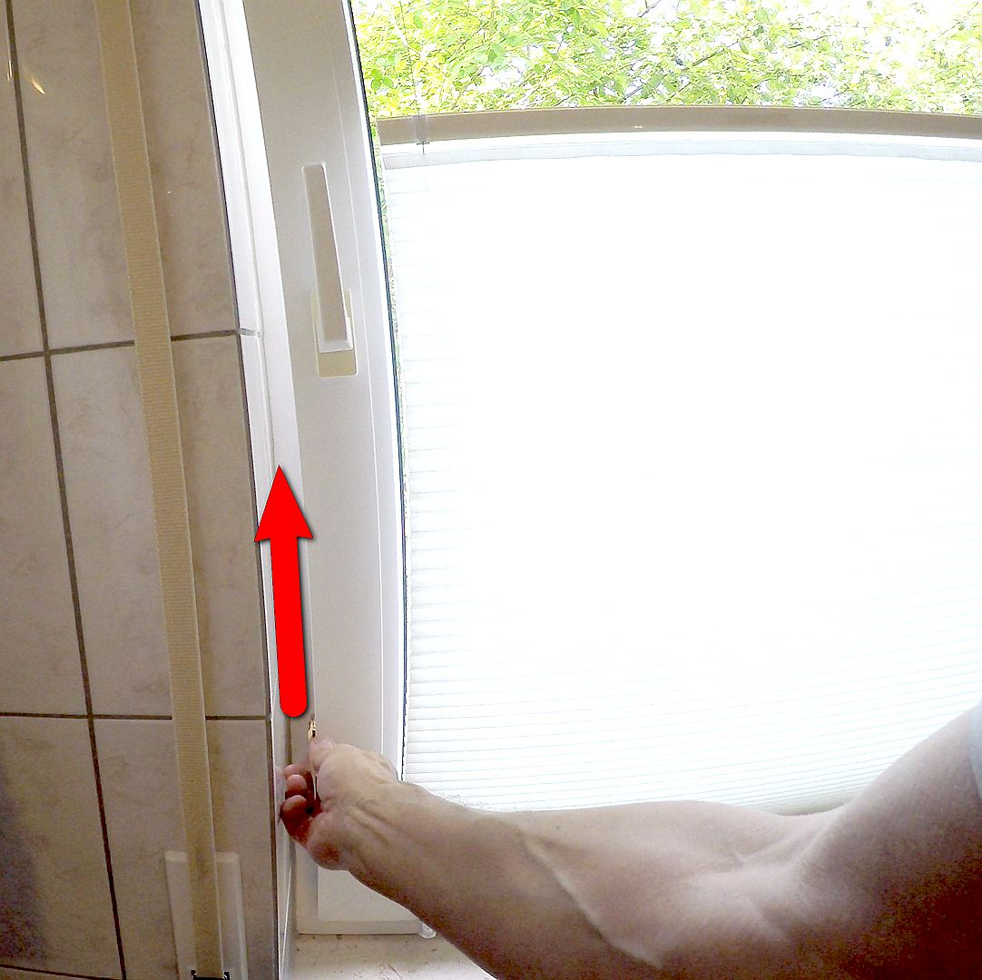 Bild  Winni, Antifensterknall! (09) wird geladen, bitte warten...