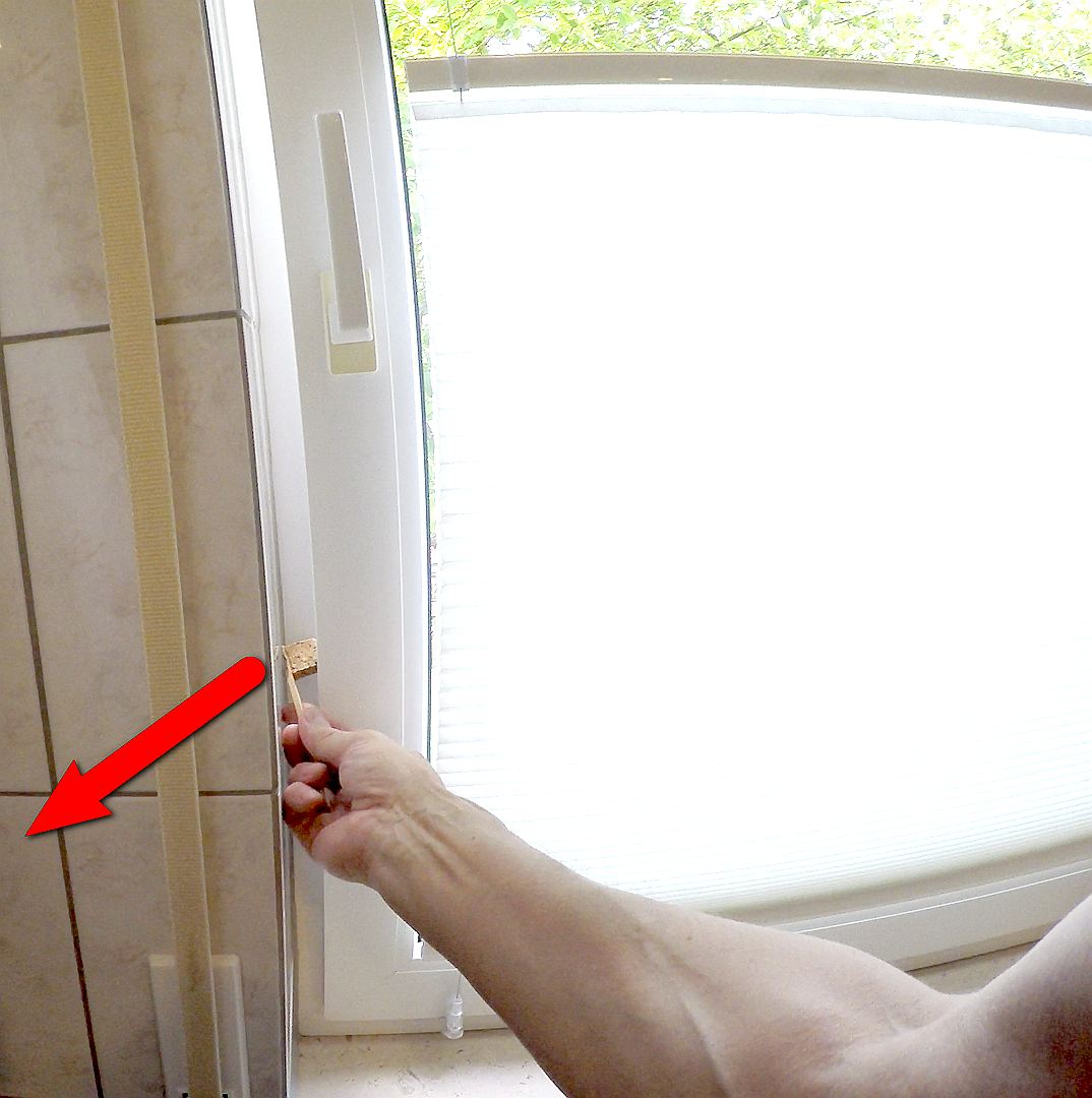 Bild  Winni, Antifensterknall! (10) wird geladen, bitte warten...