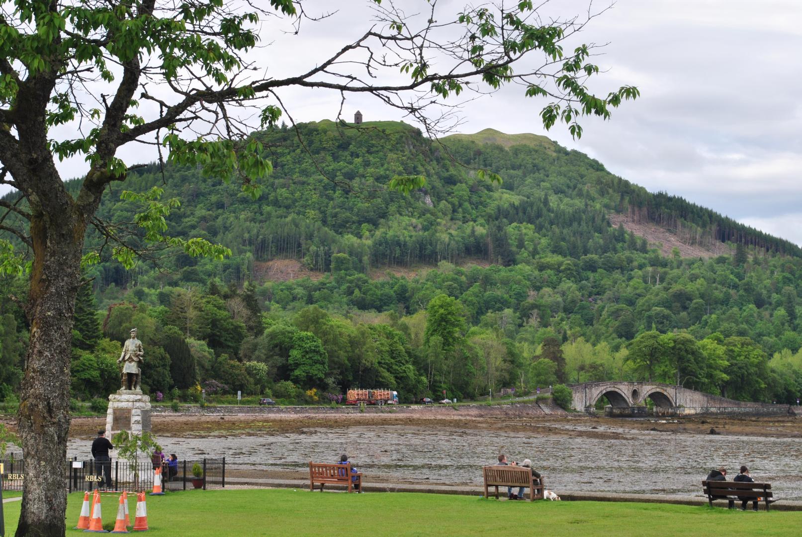 Bild  DSC 0041 wird geladen, bitte warten...