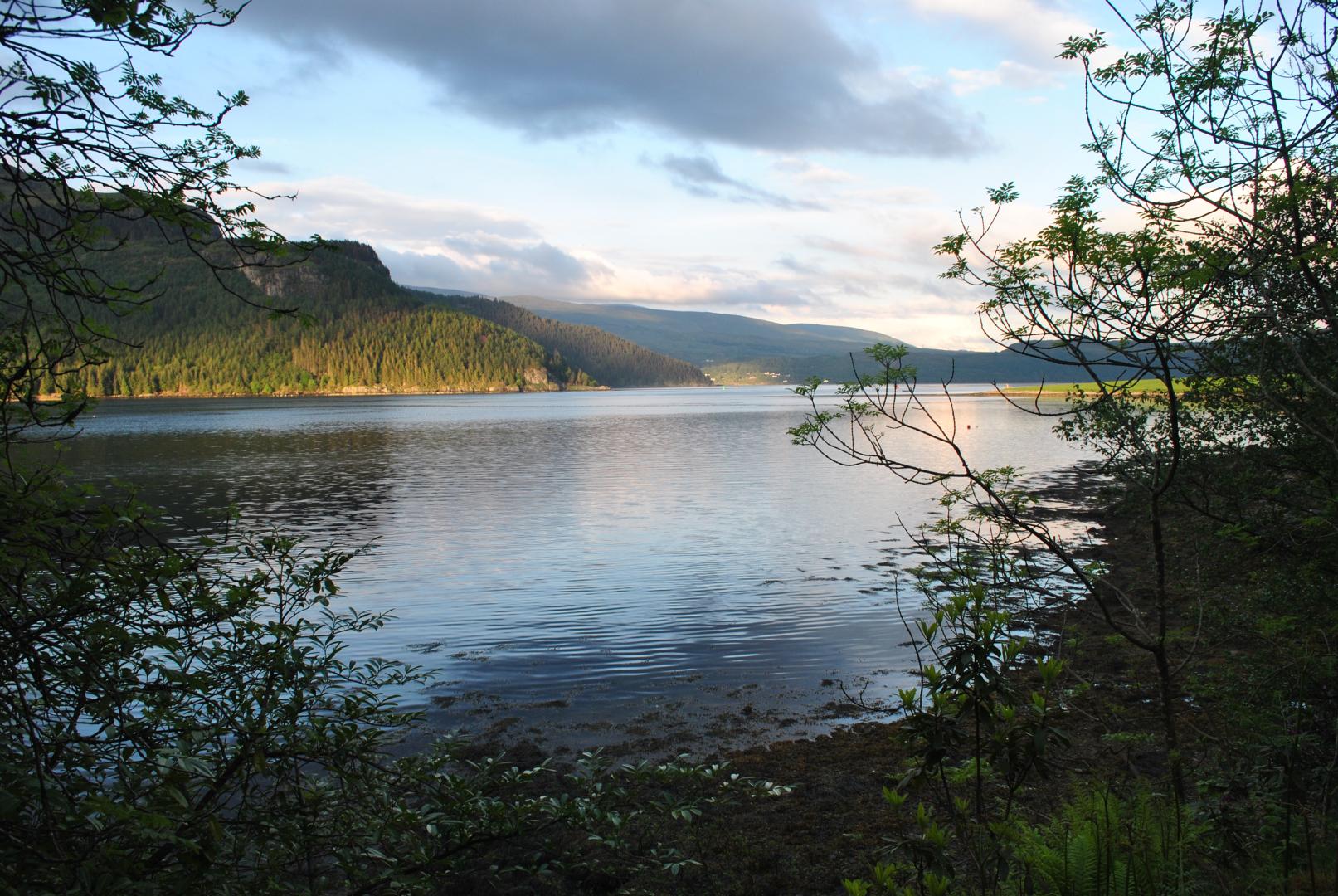 Bild  DSC 0103 wird geladen, bitte warten...