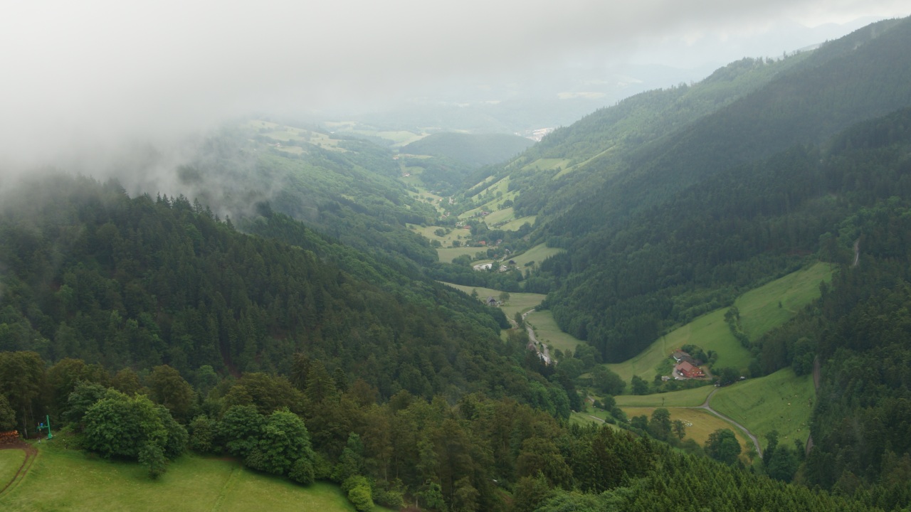 Bild  DSC07762 cr wird geladen, bitte warten...